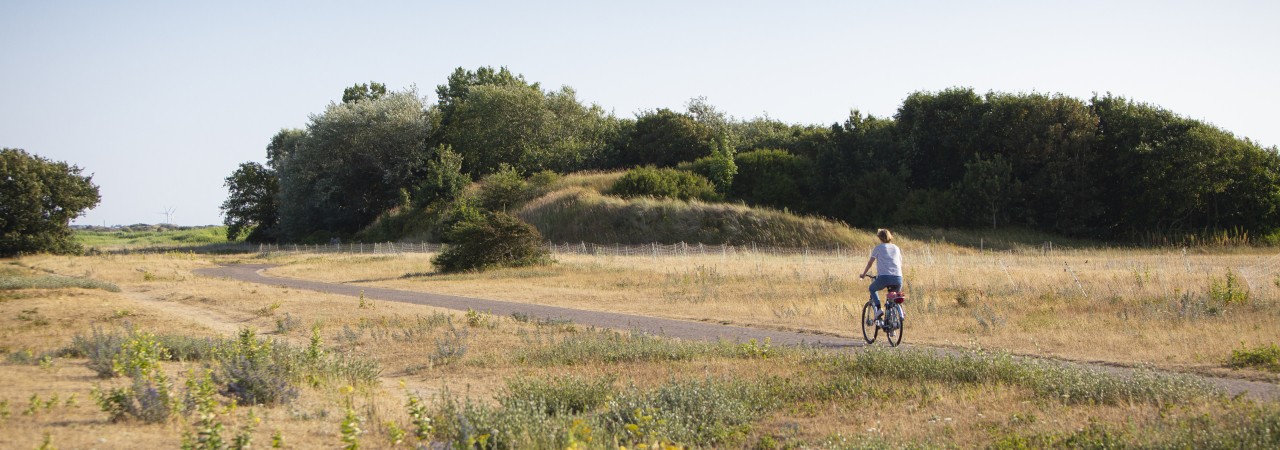 Uitzicht tijdens het fietsen in het Noordhollands Duinreservaat